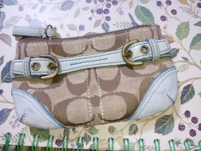 Monedero beige con cuero celeste - miniatura 1