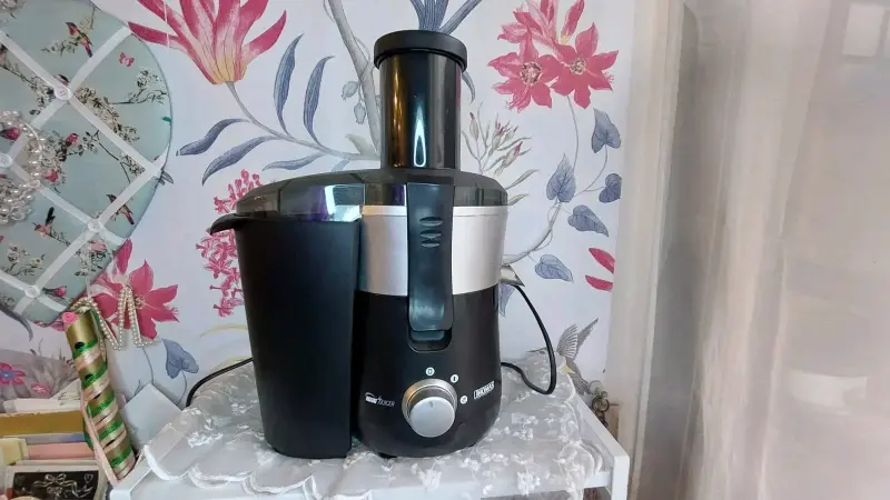 Extractor saca jugos Thomas - 6
