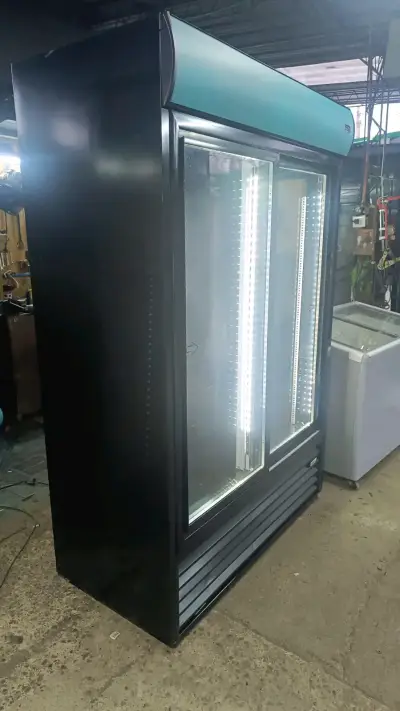 Visicooler 2 puertas - miniatura 2