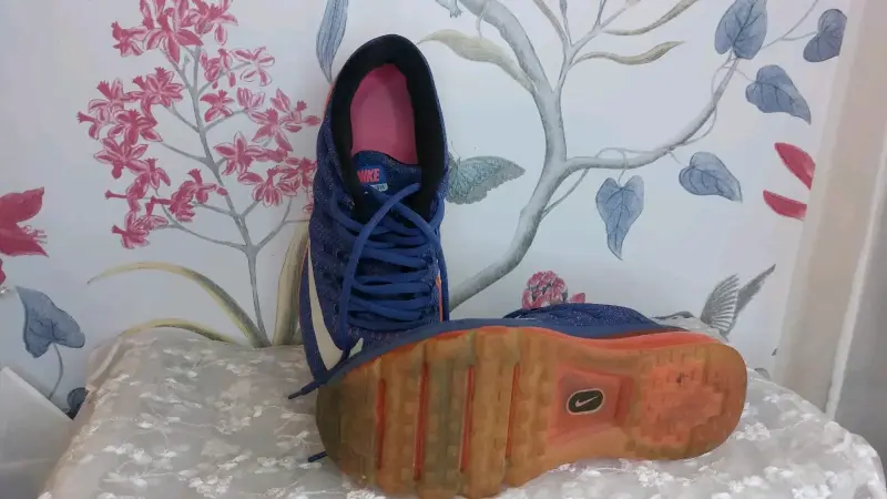 Zapatillas Nike Air Max 2016 - 2