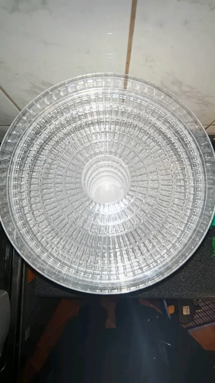 Deshidratador de alimentos RAF - 2