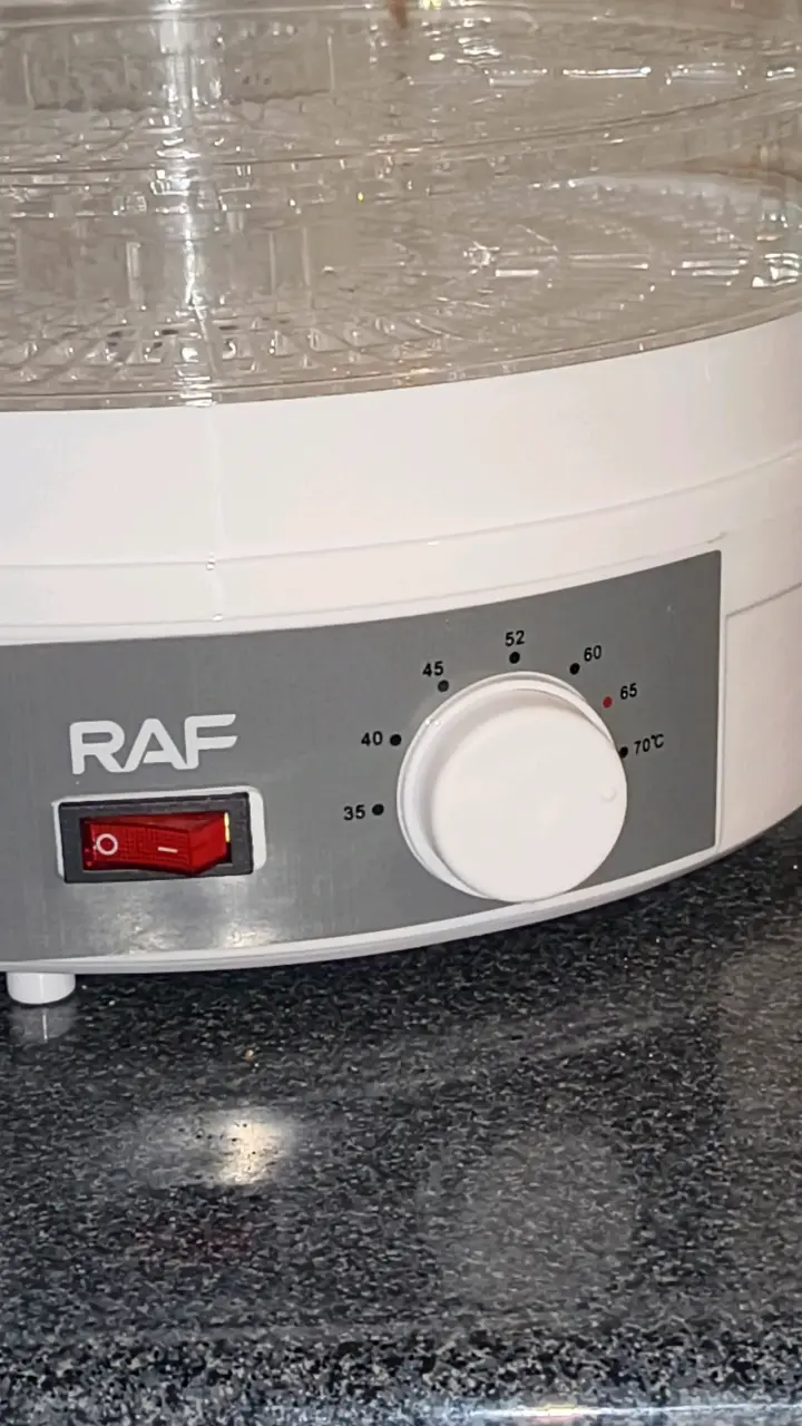 Deshidratador de alimentos RAF - 4