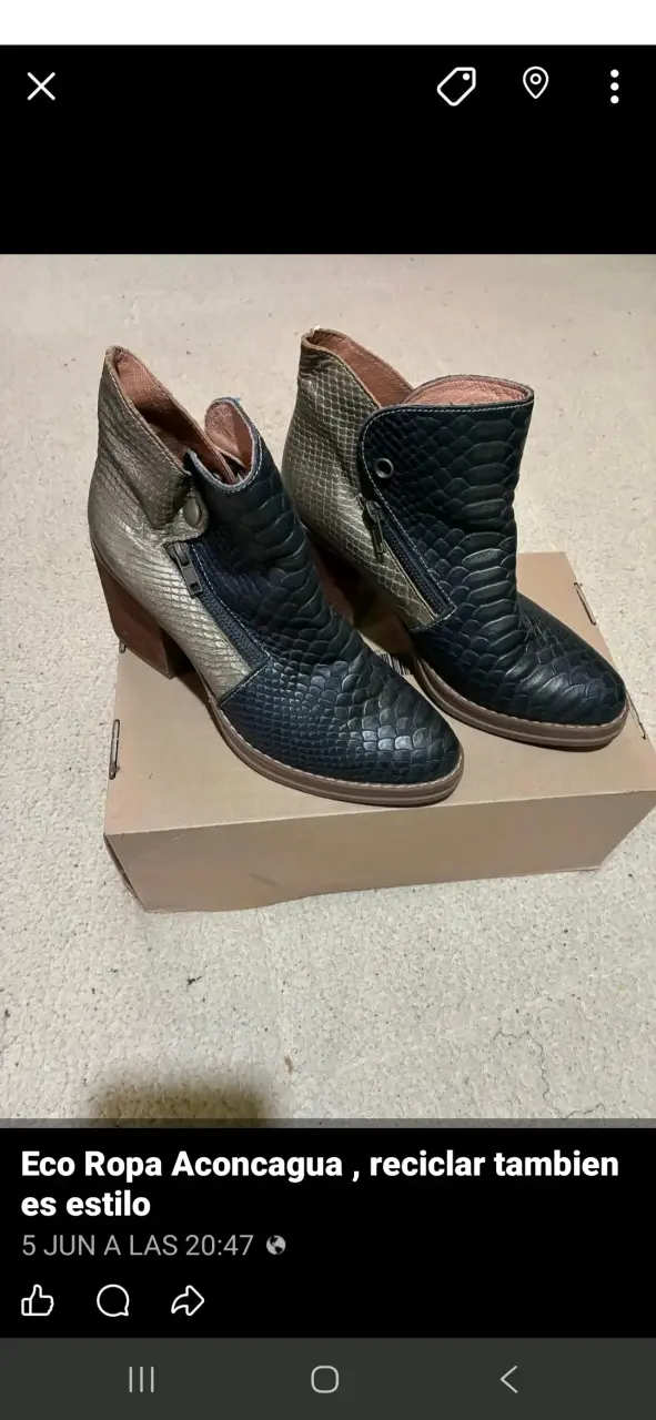 Botines de cuero en tonos oscuros - 1