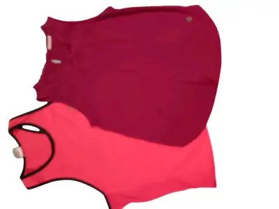Lote de tops y poleras variadas - miniatura 4