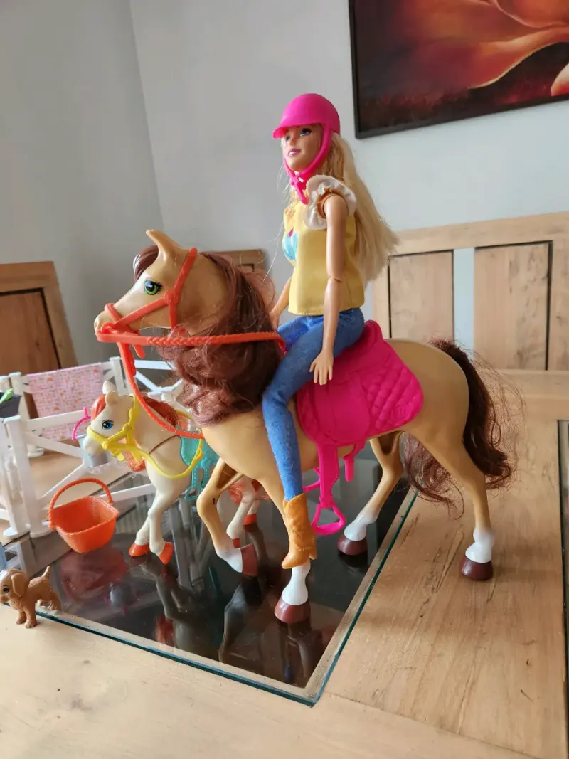 Set de juguete muñeca y pony - 2