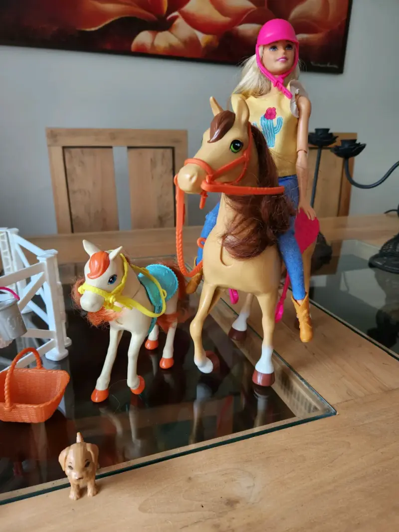 Set de juguete muñeca y pony - 3