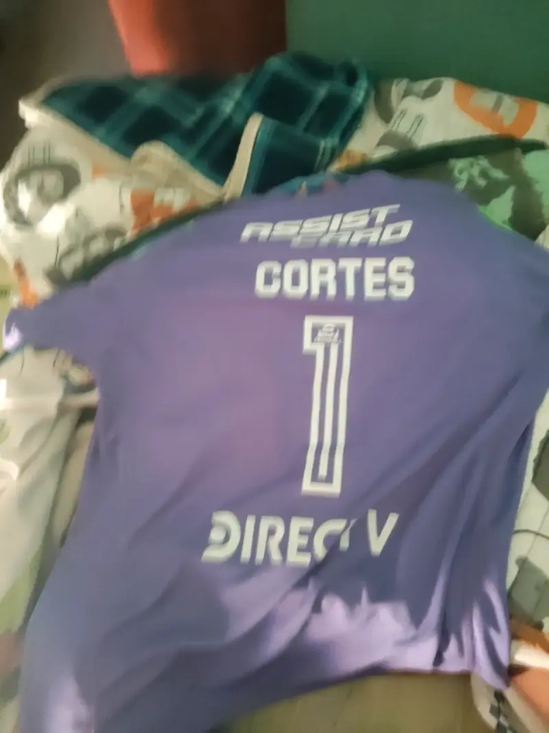 Camiseta de Porteo morada o jugador (opcional) - 1