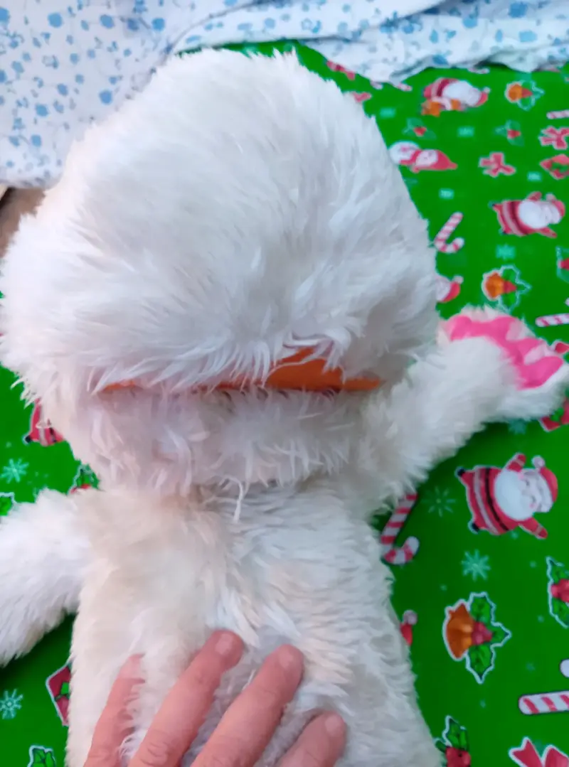 Peluche blanco grande Juanin Juan Jarry - 3
