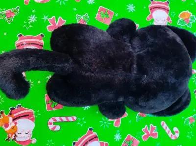 Peluche gato negro con orejas turquesa - miniatura 2