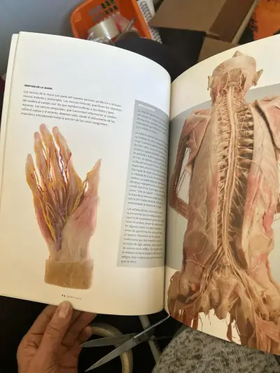 Libro 'Bodies: The Exhibition' - miniatura 3
