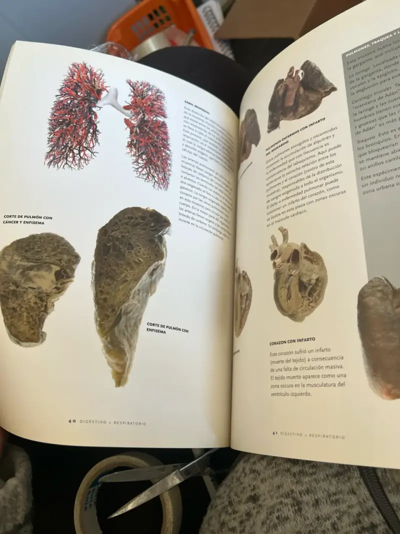 Libro 'Bodies: The Exhibition' - 4