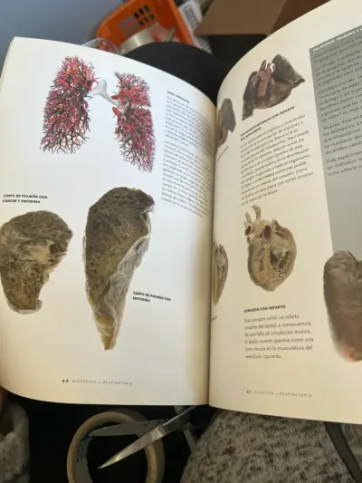 Libro 'Bodies: The Exhibition' - miniatura 4