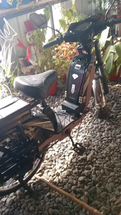 Bicicleta eléctrica negra - miniatura 3