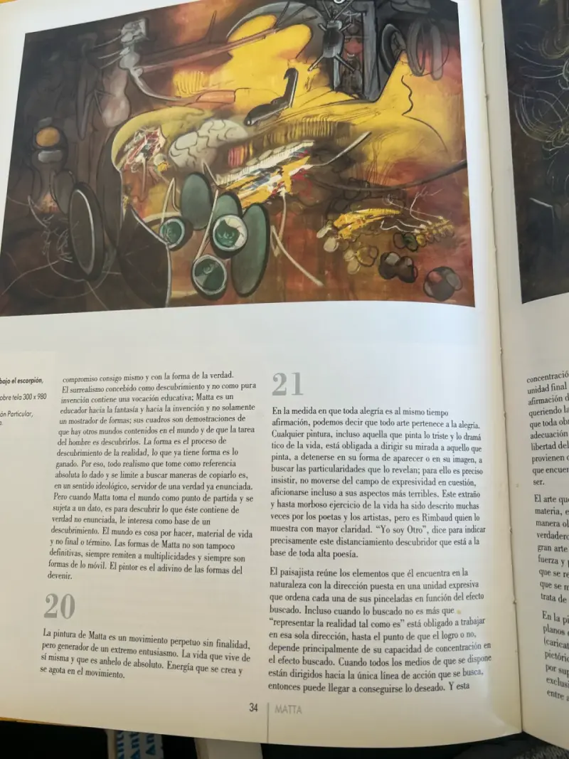 Libro Matta de Eduardo Carrasco - 2