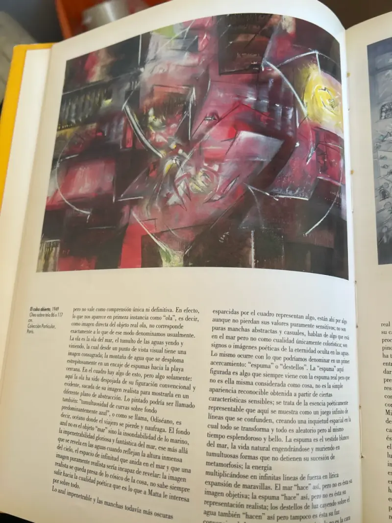 Libro Matta de Eduardo Carrasco - 4