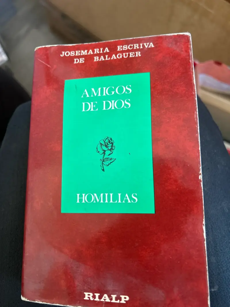 Libro Amigos de Dios Homilías