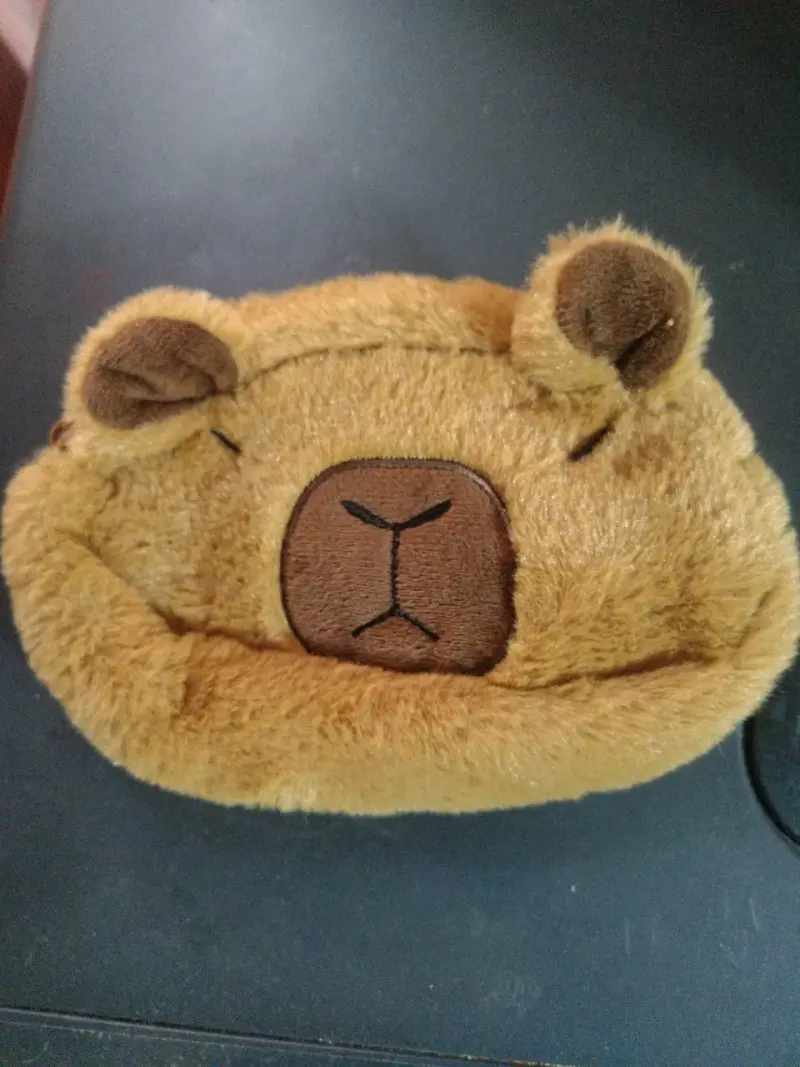 Estuche pequeño de capibara - 2