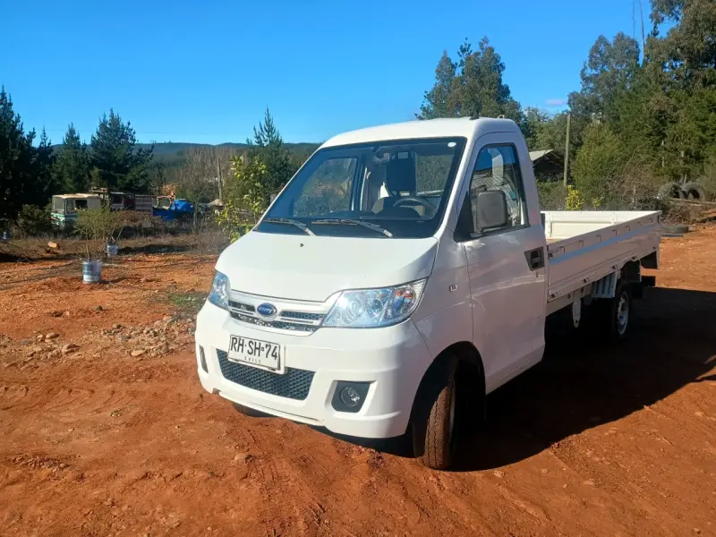 Camioneta de trabajo blanca - 2