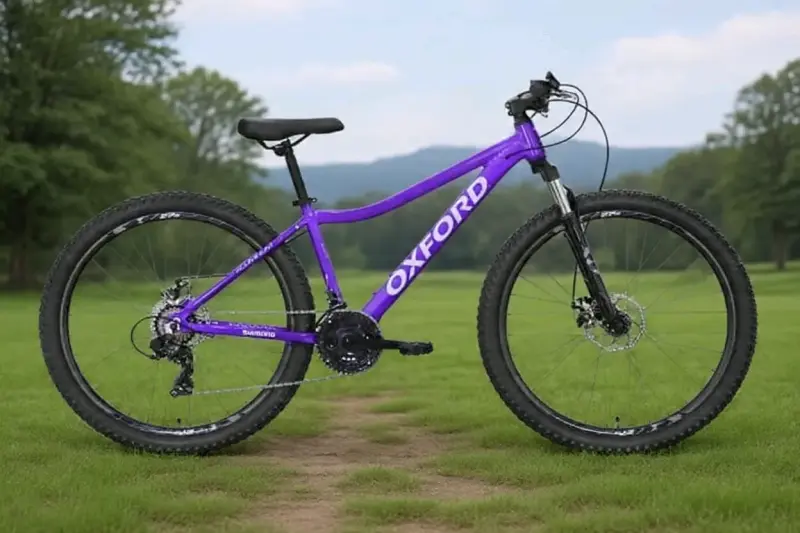 Bicicleta montaña Oxford morada