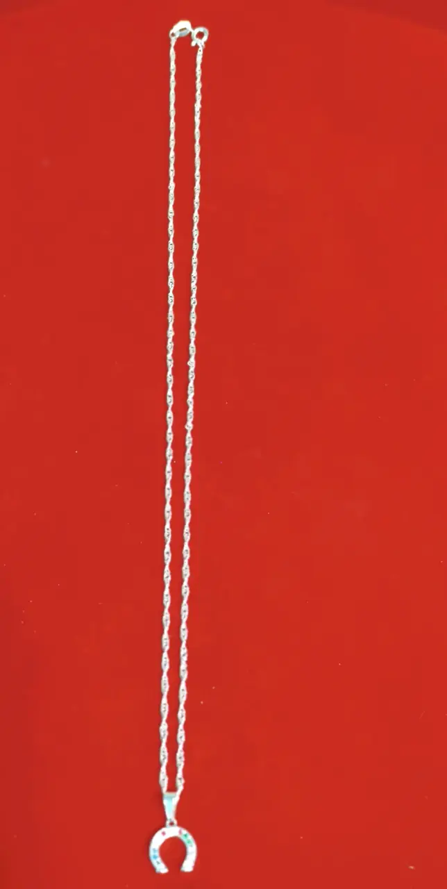 Collar de herradura con brillantes, plata 925, nac - 2
