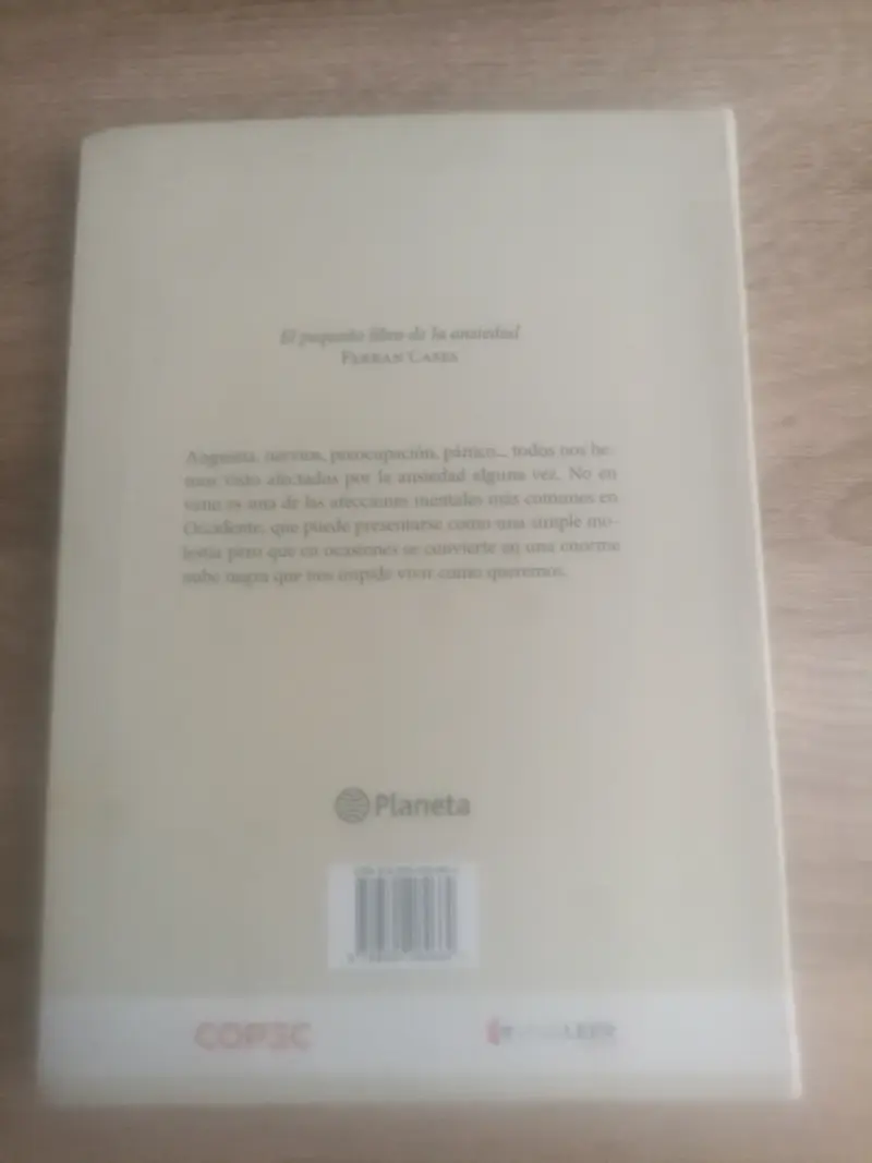 El pequeño libro de la ansiedad - 2
