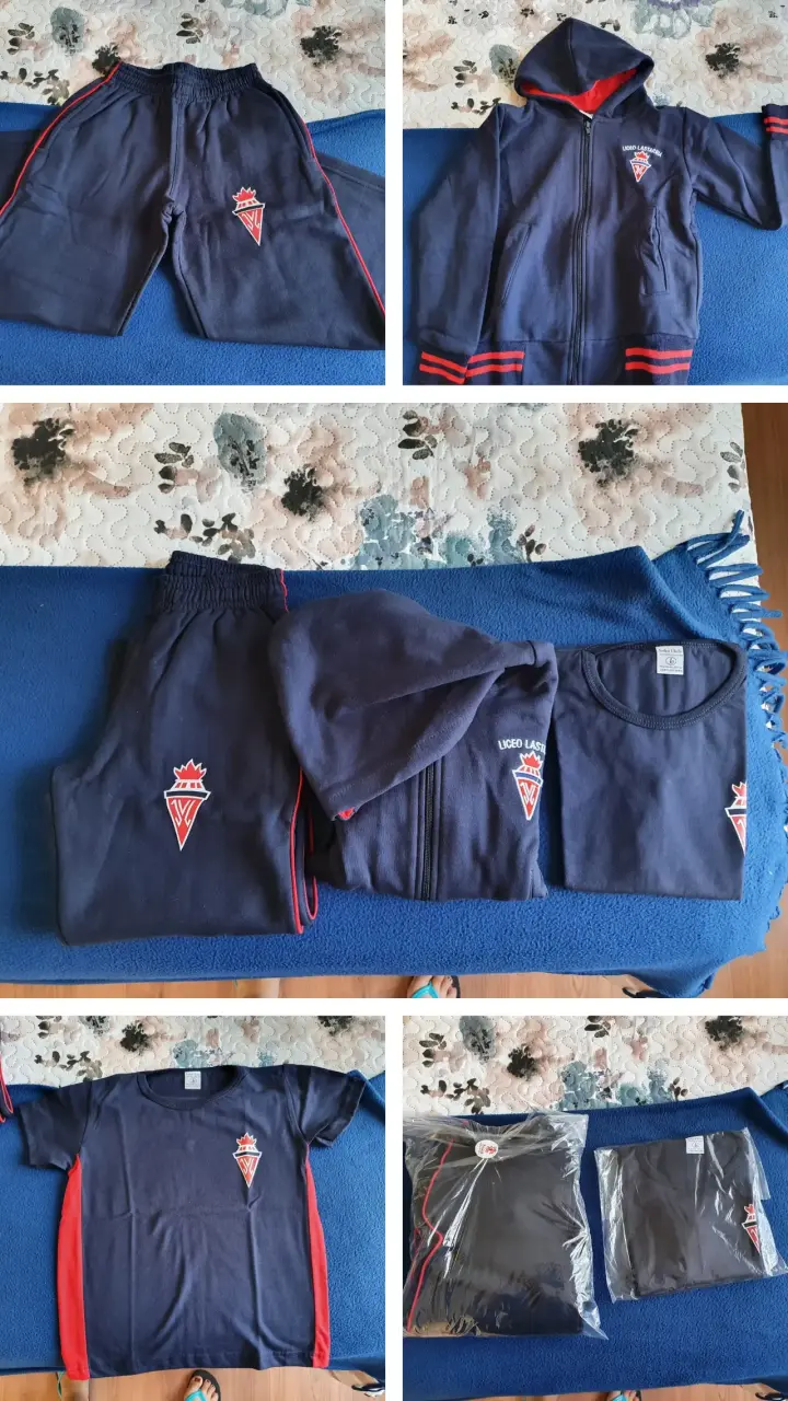 Conjunto deportivo Liceo Lastarria