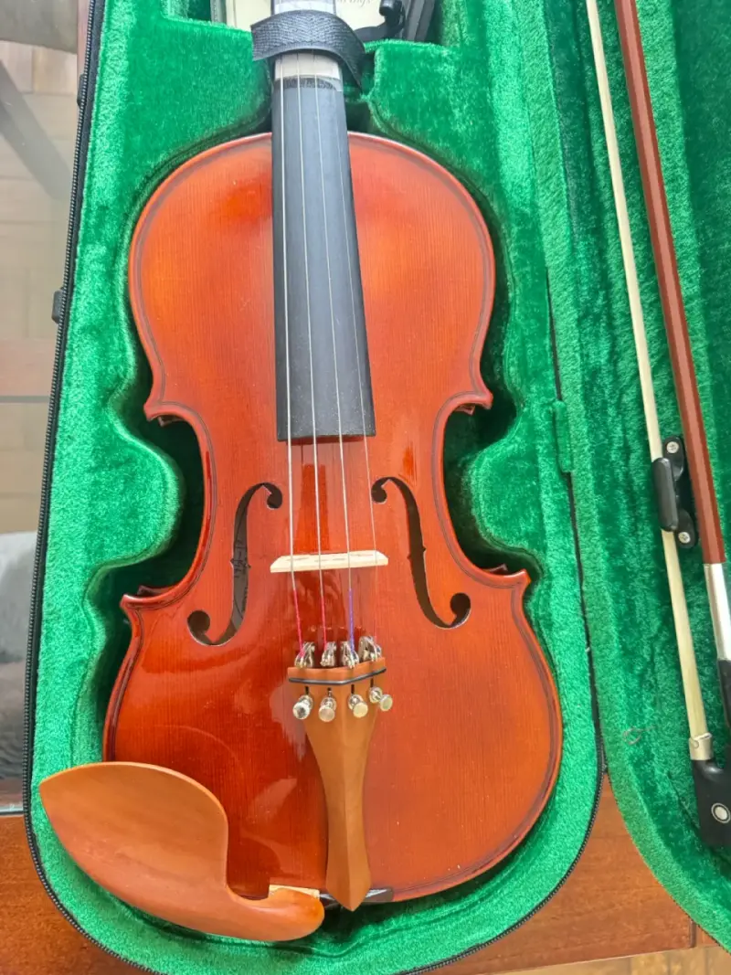 Violín modelo Frv 150 4 4/ clavijas de madera - 2