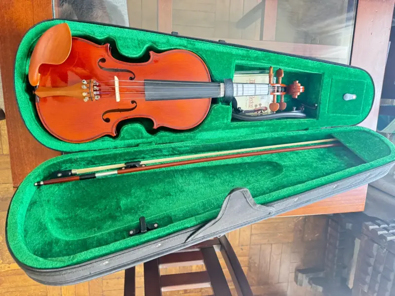 Violín modelo Frv 150 4 4/ clavijas de madera - 4
