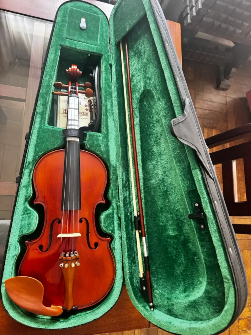 Violín modelo Frv 150 4 4/ clavijas de madera - 6