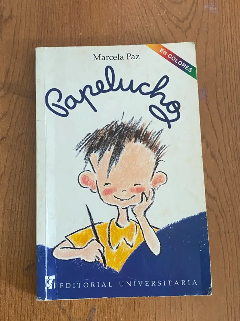 Libro Papelucho en colores - 1