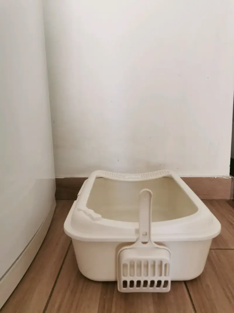 Arenero + pala con soporte (beige) - 2