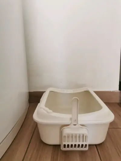 Arenero + pala con soporte (beige) - miniatura 2