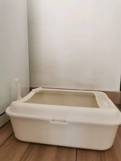 Arenero + pala con soporte (beige) - miniatura 3