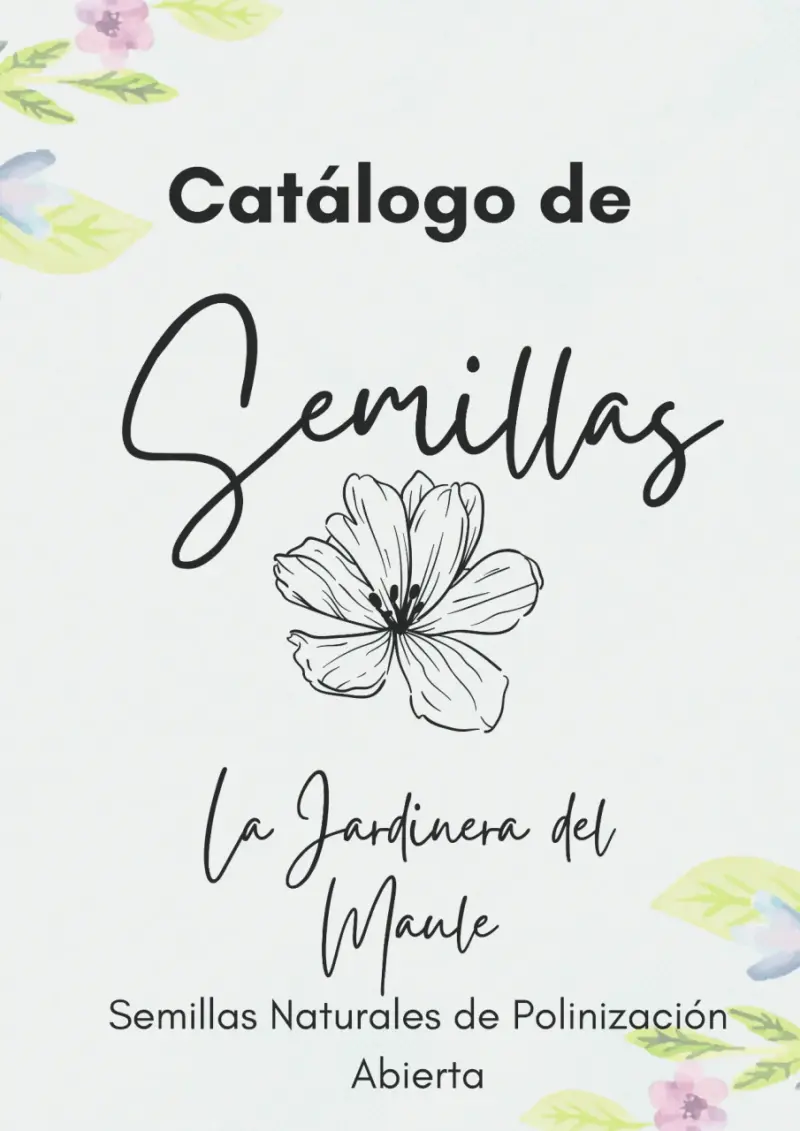 Semillas de Cosmos. - 4