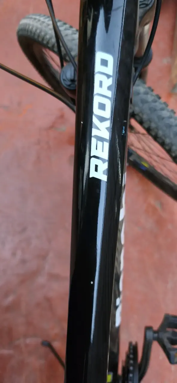 Bicicleta de montaña Bianchi rekord precio convers - 4