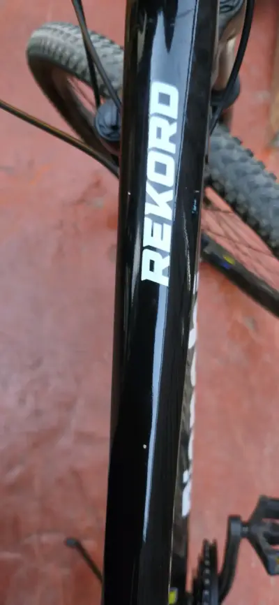 Bicicleta de montaña Bianchi rekord precio convers - miniatura 4