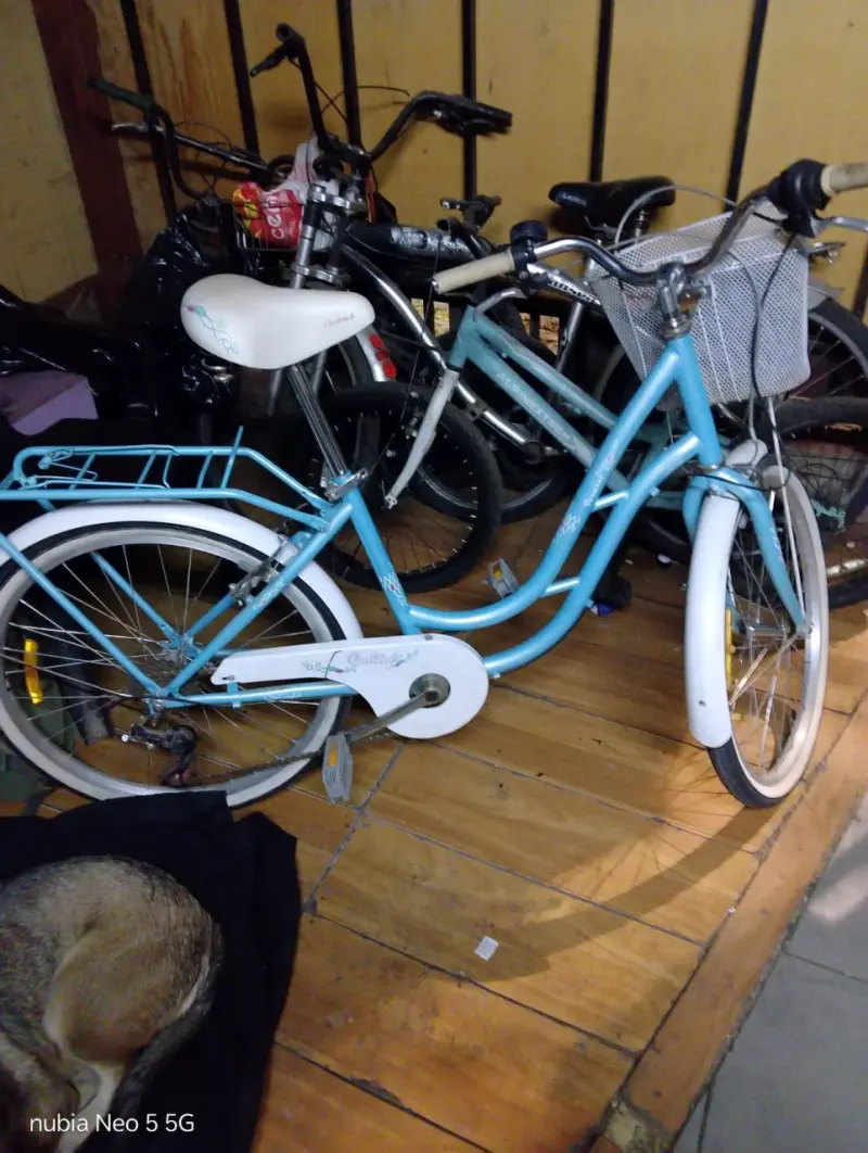 Bicicleta vintage celeste - 1