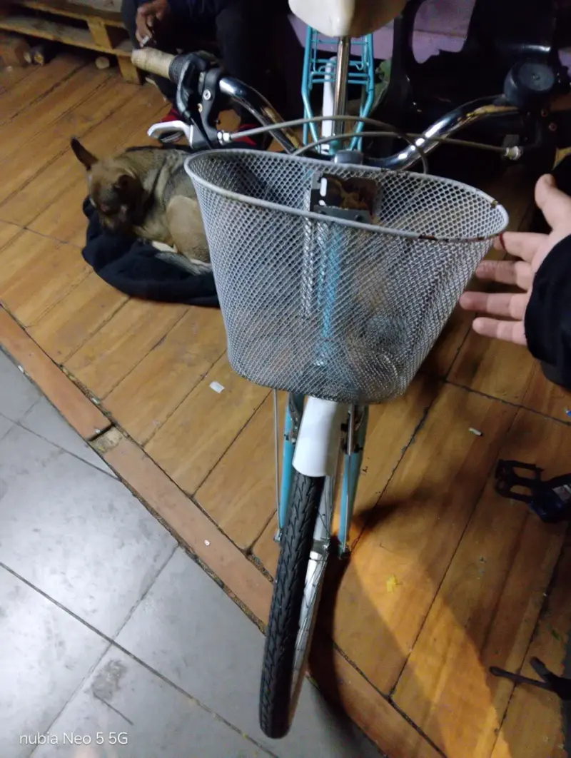 Bicicleta vintage celeste - 2