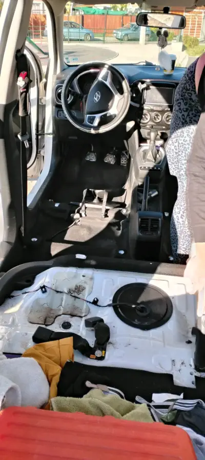 Lavado detailing - miniatura 2