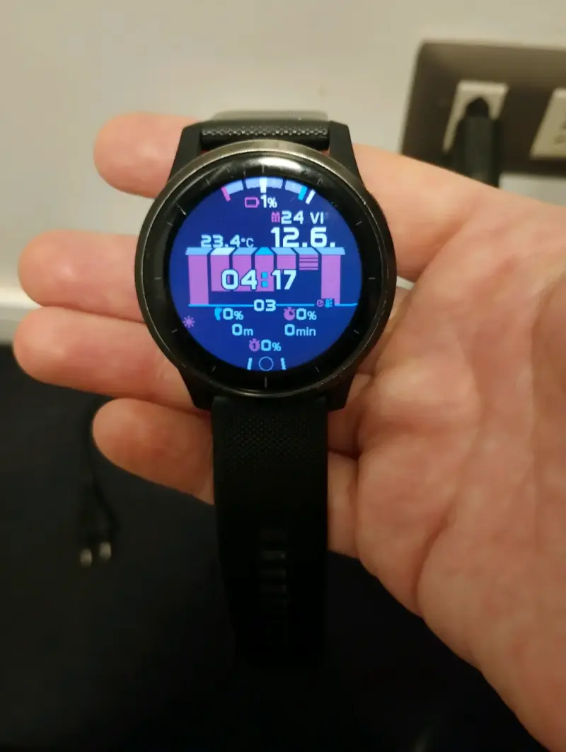 Smartwatch Garmin Vivoactive 4 - 2