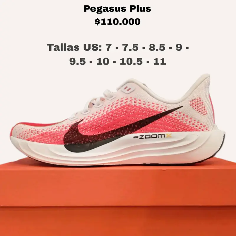 Zapatillas Nike Pegasus Plus