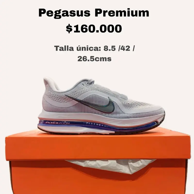 Zapatillas Nike Pegasus Premium
