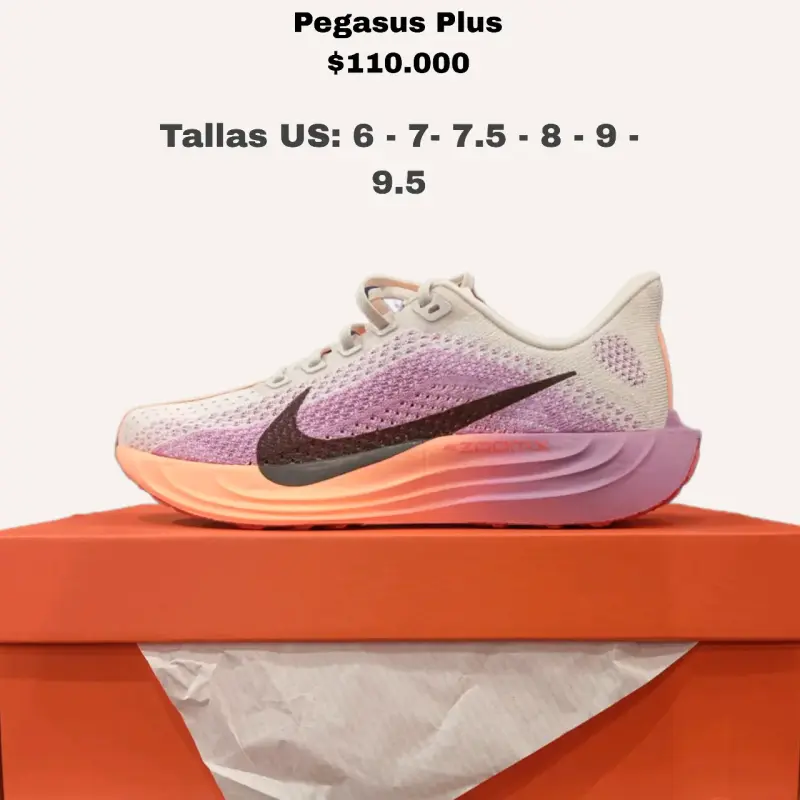 Zapatillas Nike Pegasus Plus