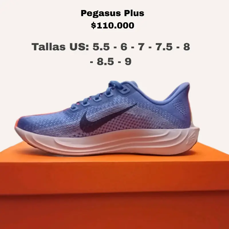 Zapatillas Nike Pegasus Plus