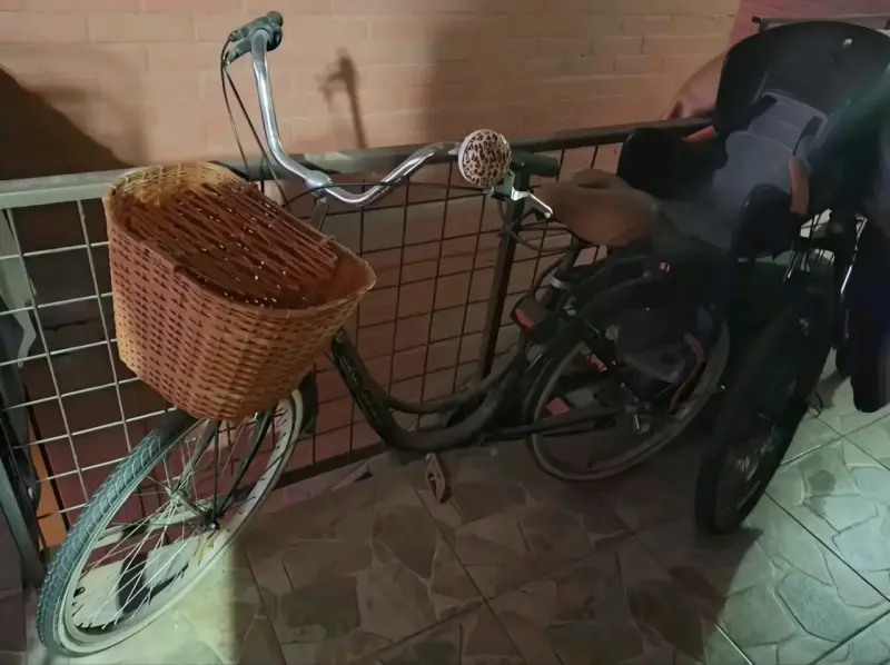 Bicicleta con canasto y silla