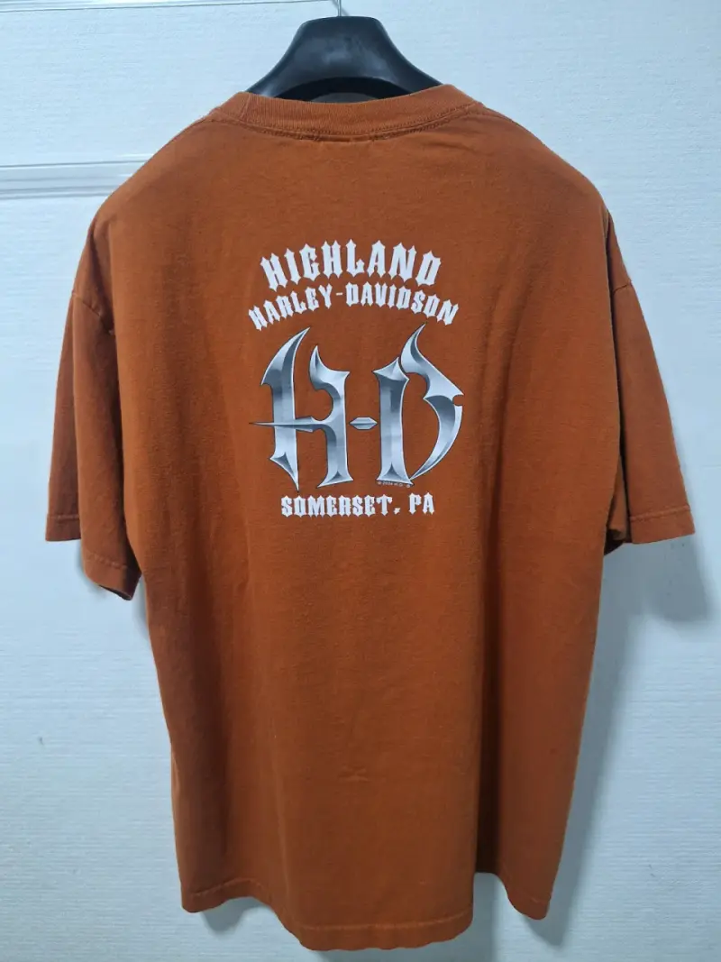 Polera café Harley-Davidson diseño moto - 2
