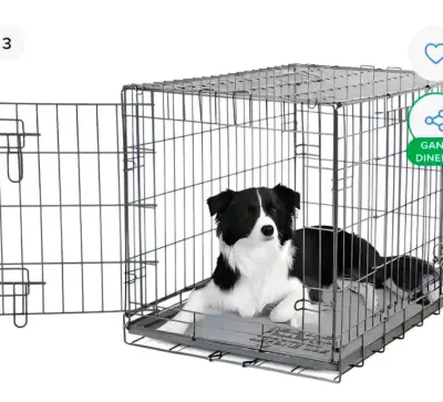 Canil para mascota - miniatura 2