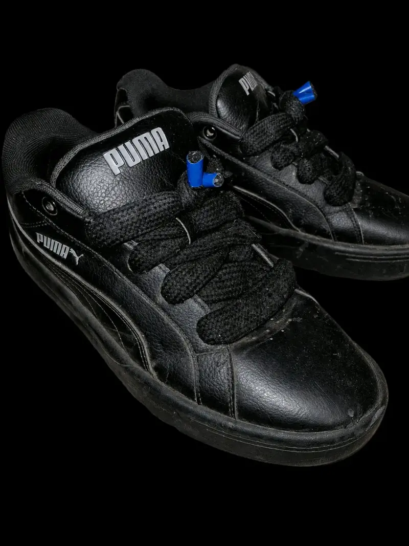 Puma Park