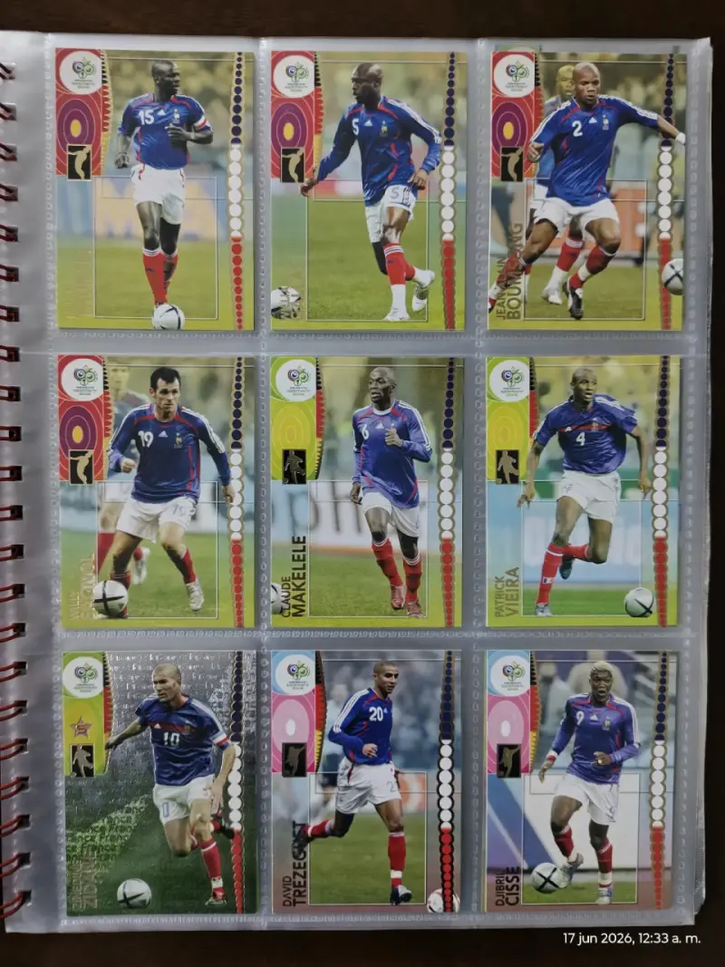Tarjeta panini Ronaldinho Germany 2006 - 5