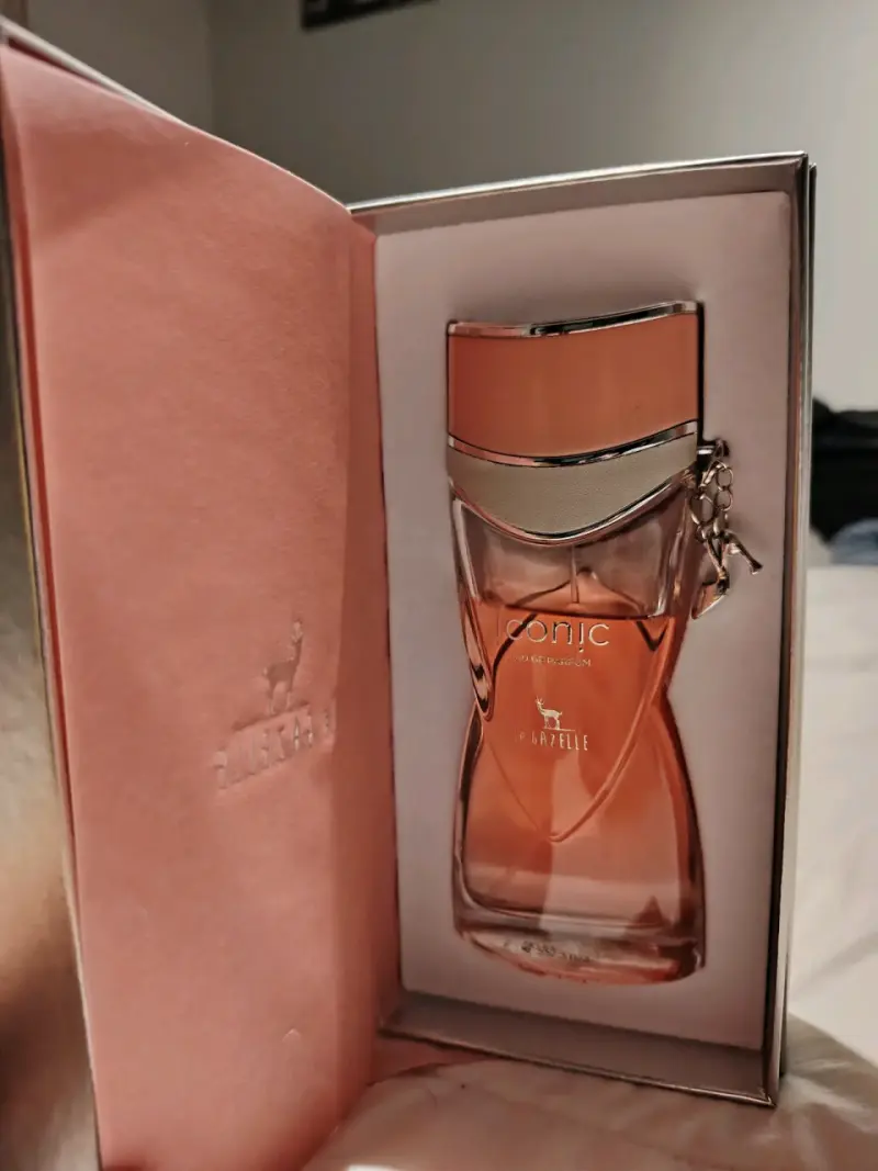 Lote de perfumes variados - 2